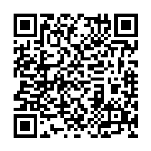 丁羽还真的就没有打算让王莉他们三个人背负太多二维码生成