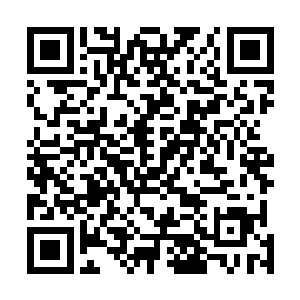 丁羽这个小朋友的表现就尤为的让自己有那么一些感叹了二维码生成