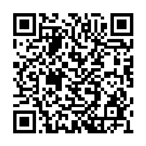 丁羽这边却没有要停下来自己手里面筷子的意思二维码生成