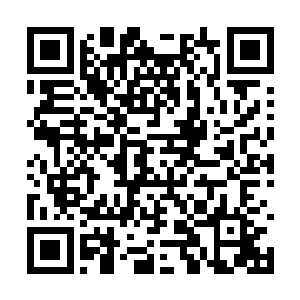 丁铃铛可以动用的资源是寻常强者做梦都想不到的二维码生成