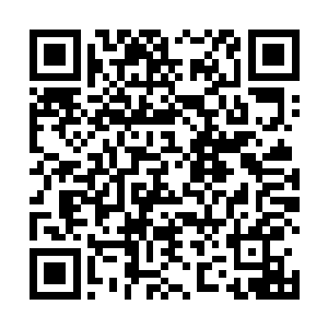丁长生不好意思的洗了把脸也出去陪着石爱国打拳去了二维码生成