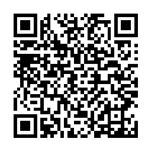 丁长生举起酒杯指着站在自己面前的这十几个姑娘说道二维码生成