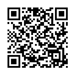 丁长生像是得到了什么宝贝似得使劲的嚼啊嚼二维码生成