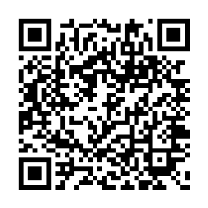 丁长生即便是有再大的胆子也不可能将她拉回去二维码生成