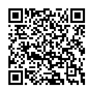 丁长生听到护士长说有个白山来的曹冰要见他时二维码生成