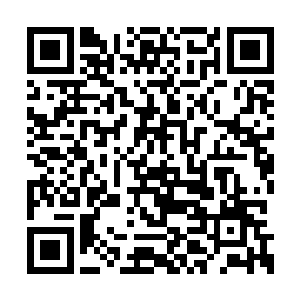 丁长生坐在汽车里将这件事前前后后想了很多遍二维码生成