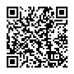 丁长生最后这几句话简直就是低到从嗓子里挤出来似得二维码生成