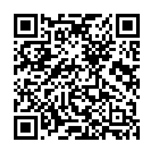 七个活下来的火箭筒手去寻找能打到隔壁街上的射击阵位二维码生成