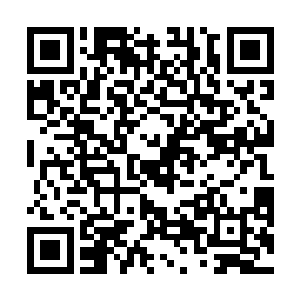 七个罗天上仙魔族中剩下的最后一个魔族已经变得疯狂二维码生成