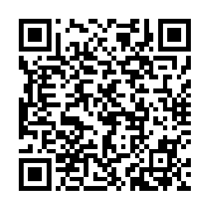 七八位修神期修士的攻击竟然只将丝网扯开不大的损坏二维码生成