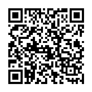 七八艘修仙者星舰亦喷涌出了足足上千道毁灭性的流光二维码生成