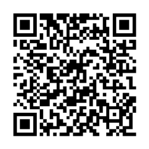 七大势力只是在缥缈海域名气比较大的势力罢了二维码生成