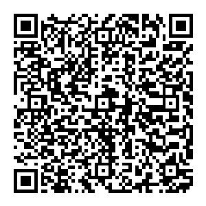 七大势力的最强者都是小乘境巅峰的法主……连带着周围十几个海域的最强者也是小乘境巅峰……谁第一个踏入大乘境……到时候……二维码生成