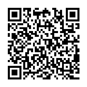 七尺男儿竟然为了都察院的同僚向一个五品正的毛头小娃下跪二维码生成