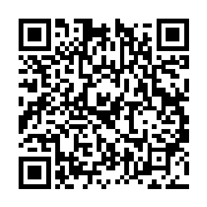 七彩光芒也是变得有条不紊的被吸收进入秦宇体内二维码生成