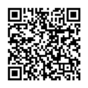 七彩玄芝和九彩玄芝显然也根本就不是龙傲天那么一个小小的二维码生成