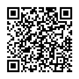 七彩神幻之力制造出来的幻境不仅仅是拥有此力的主人操控一切二维码生成