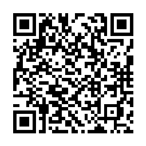 七涅真神是星元大陆数万年也难得一见的绝顶强者二维码生成