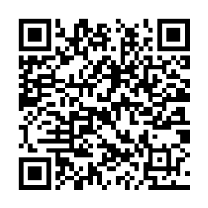 七绝门和天涯海阁应该比不上我们和千情宗联手吧二维码生成