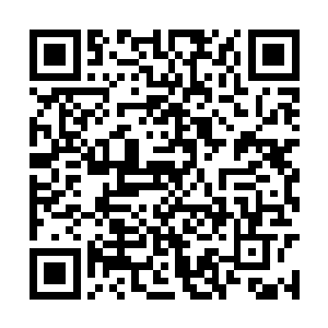 七色神君虽然只是因为因缘际会之下获得这个外号二维码生成