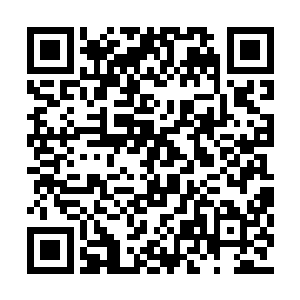 七长老会带领两位前往震天宗为你们安排的住处二维码生成