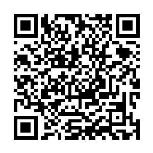 七阶血脉的慕容族人形成的包围圈给生硬地震退了七八步二维码生成