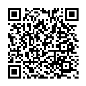 七颗蕴含着法则之力的金丹正静静的漂浮在那里二维码生成