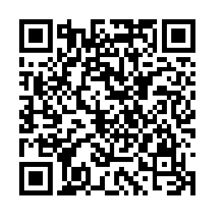 万一大公主气急之下没了分寸将少爷打坏了怎么办二维码生成