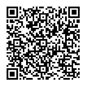 万一弦首的拖延战术因魔王过于强悍而失败了……只要弗利萨这不速之客能及时赶到二维码生成