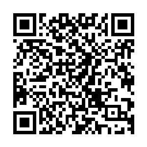 万一有人在我们对付六阶魔兽的时候趁机把幼兽抢走了怎么办二维码生成