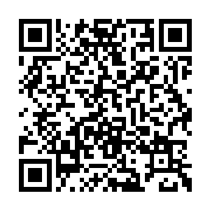 万一自己昨晚掌握的那点东西根本就无法救自己二维码生成