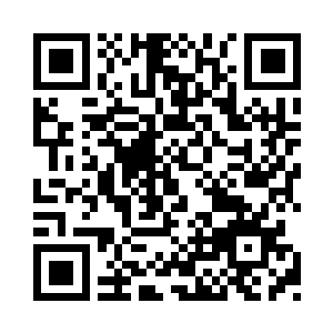 万一被咬伤了节目组不承担任何责任云云云云二维码生成