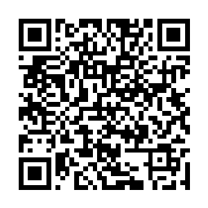 万一让东方少奇回来的目的是一个不可告人的秘密二维码生成