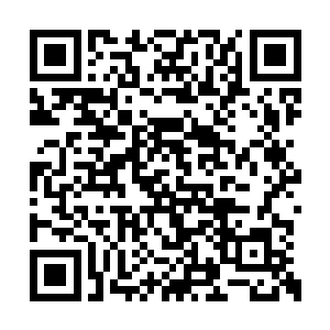 万一这个时候有人直捣皇城夺宫篡政又该怎么办二维码生成