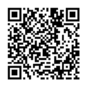 万一黎王和栖霞公主宁愿拼个鱼死网破弄得告诉皇上她设计的事二维码生成