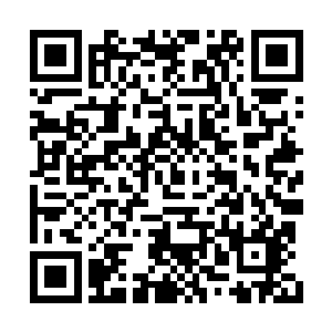 万万想不到当初在下位面不被自己里的小小圣域二维码生成