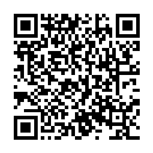 万万没想到总馆主开口的第一句话就是让他不要再去找麻烦二维码生成