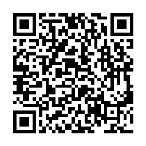 万万没想到这一支军队的左将军居然要对大将军动手二维码生成