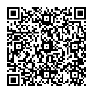 万万没有想到乔远帆只看了一眼便看出了自己繁星拜明月的真正来源并不是自己的创新二维码生成