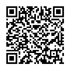 万仙道长背后的主使者不是梅夫人更不是凤君泽二维码生成