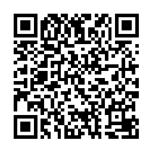 万全的准备等到了今日真正出嫁却半点都没用上二维码生成