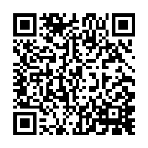 万分感谢爱灬伱亽同学的打赏魅影琉璃同学的更新票二维码生成