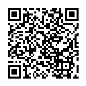 万千道青色的剑影在这方大衍石笋林的空间之内纵横交错二维码生成