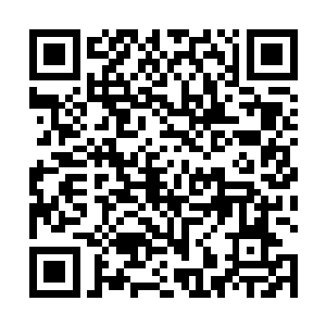 万古魔坑每过几十年到数百年就会像火山一样喷发一次二维码生成