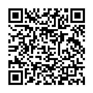 万寿大仙所指的提起……不会是指太乙师兄的事吧二维码生成