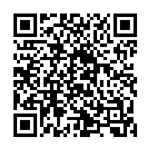 万岁以内能够达到这一步的都可以说是极为上等的天才了二维码生成