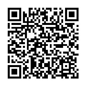 万年斗飞车这才真正脱离了这波恐怖的年兽兽潮二维码生成