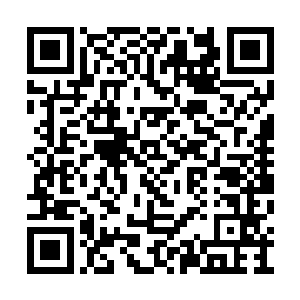 万影看着木道人的身影一点点的消失在黑暗之中二维码生成