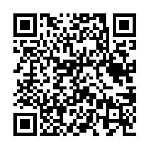 万树武神听雷天说他自己是一下子掉进小树林的二维码生成