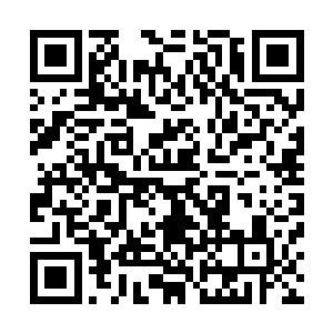 万物之母是没有针对黄昏的十二种诅咒调配出合适的药物的二维码生成